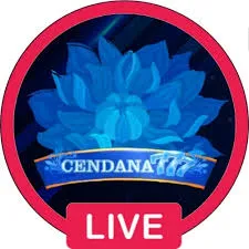 CENDANA777 - Pertarungan Seru untuk Para Petarung